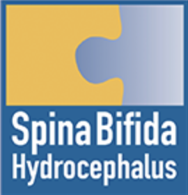 LOGO VSH