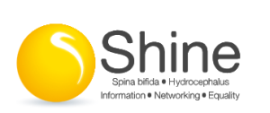 Logo Shine
