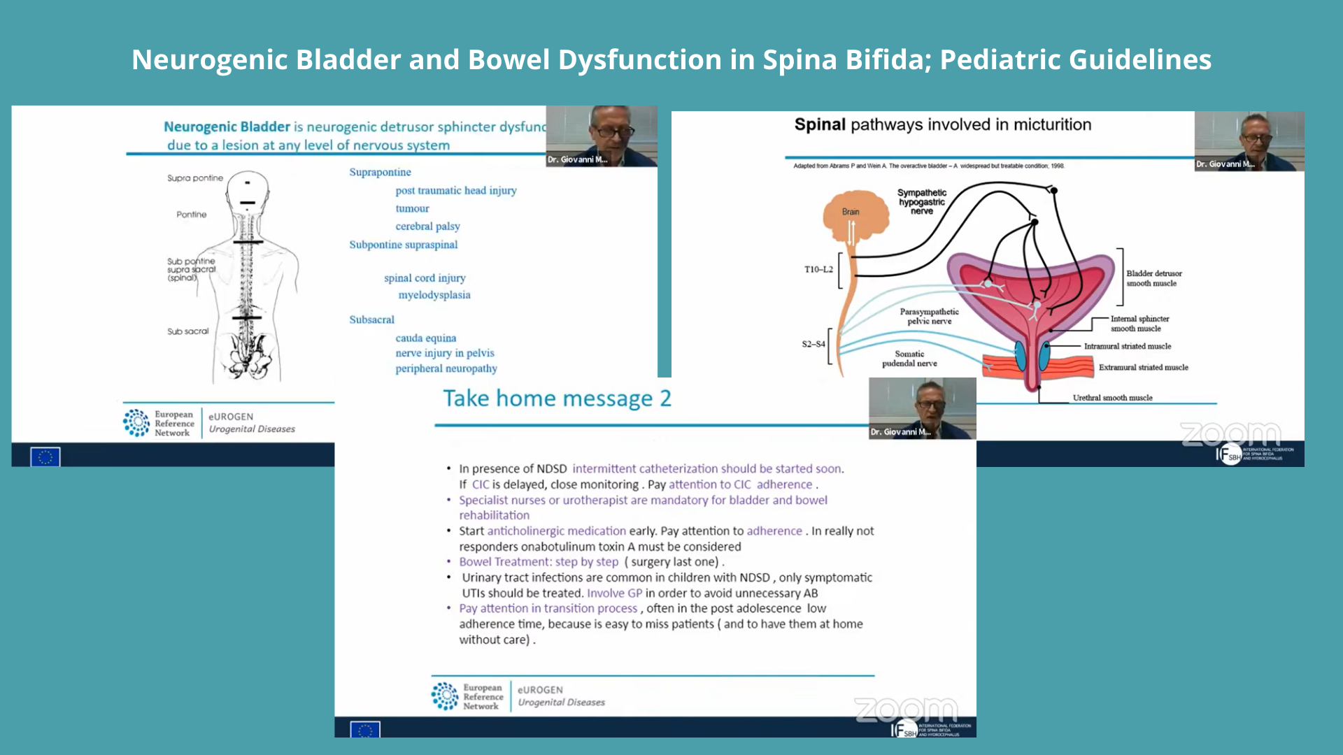 The International Federation For Spina Bifida And Hydrocephalus