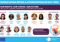 WSBHD26 Banner – Online Conference (1)