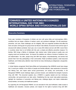 WSBHD Policy Brief 2026